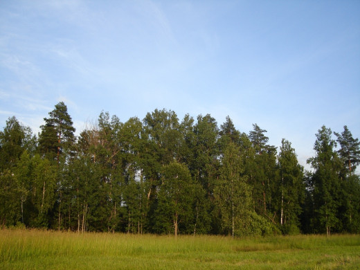 26944 (a): :1024x768